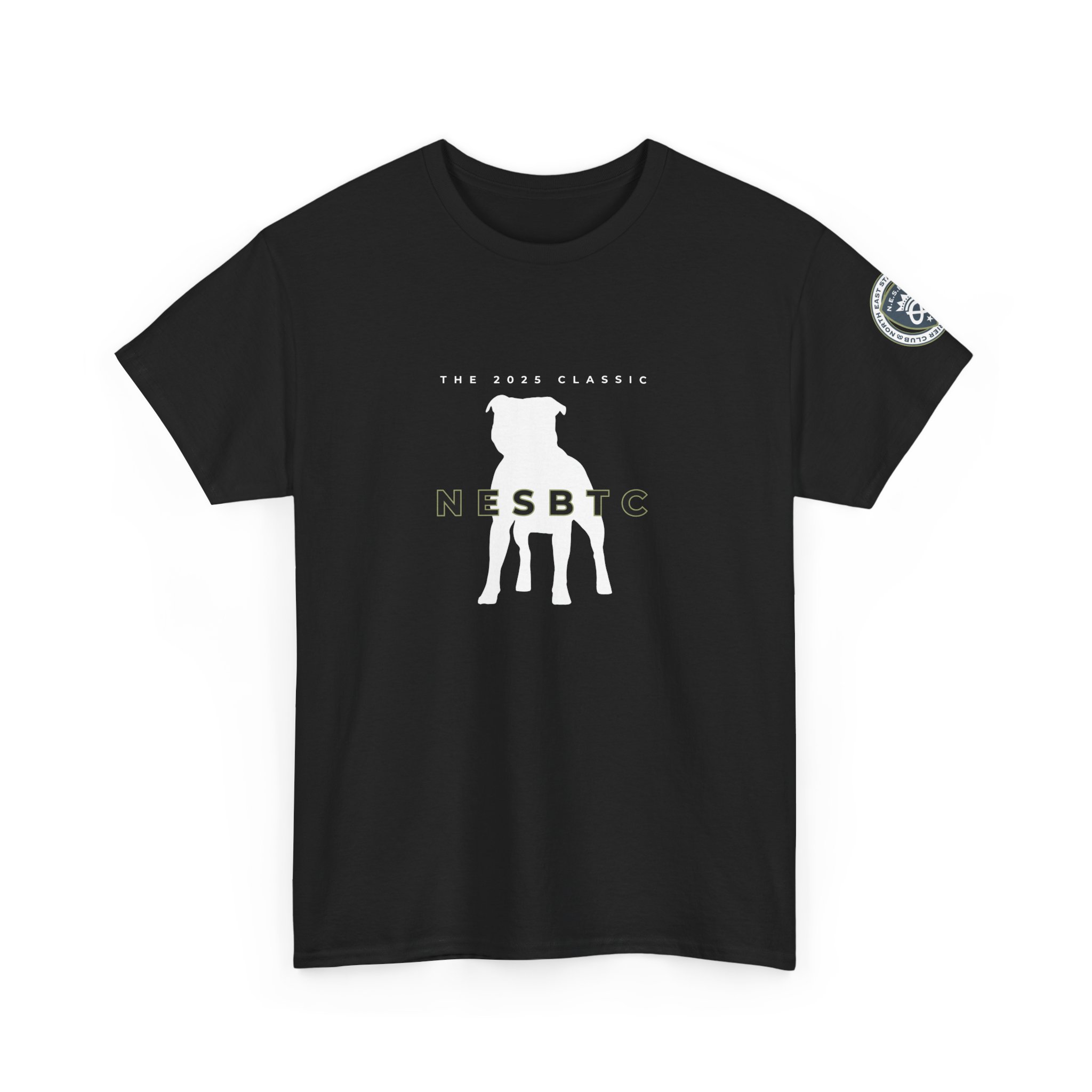 Classic 2025 Unisex Heavy Cotton Tee (Green Border)