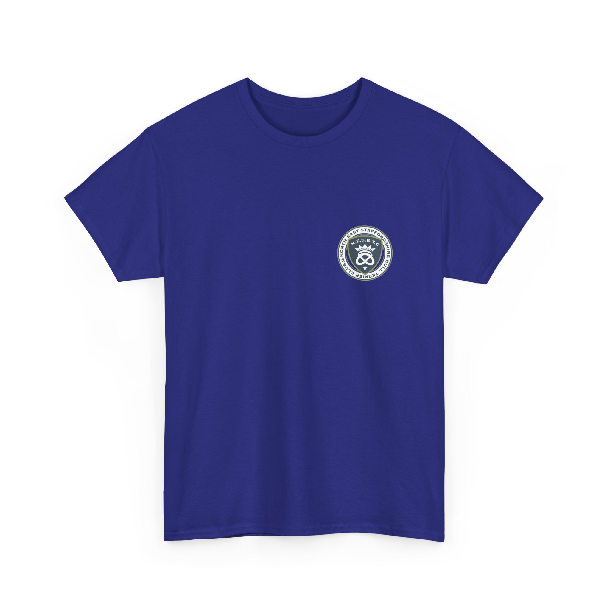 Classic 2025 Unisex Heavy Cotton Tee (Back Orange Border)
